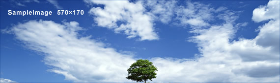 トレール注文(トレーリングストップ)の解説と利用出来るFX会社の紹介